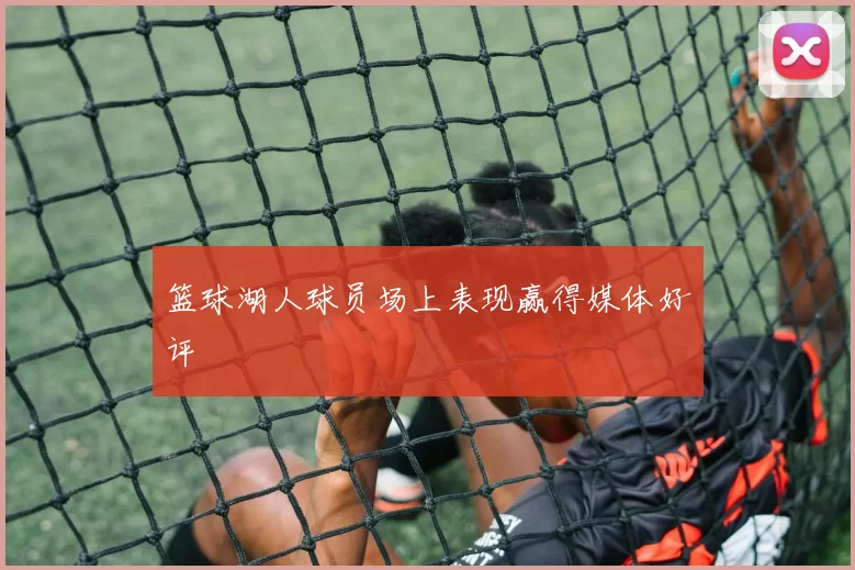 篮球湖人球员场上表现赢得媒体好评