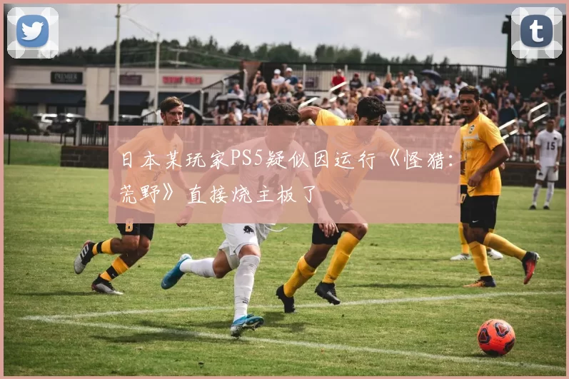 日本某玩家PS5疑似因运行《怪猎：荒野》直接烧主板了