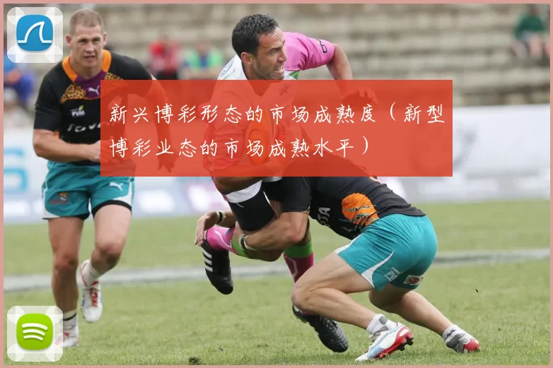 新兴博彩形态的市场成熟度（新型博彩业态的市场成熟水平）