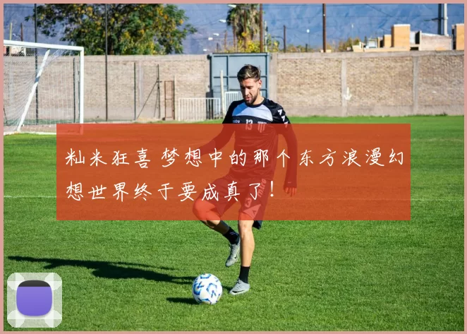 籼米狂喜 梦想中的那个东方浪漫幻想世界终于要成真了！