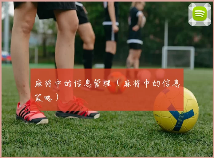 麻将中的信息管理（麻将中的信息策略）