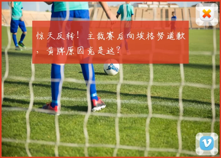 惊天反转！主裁赛后向埃格努道歉，黄牌原因竟是这？