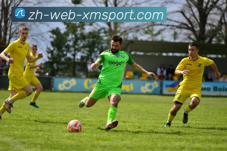 熊猫体育平台生态图